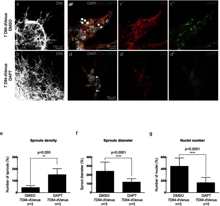 Figure 3—figure supplement 2.