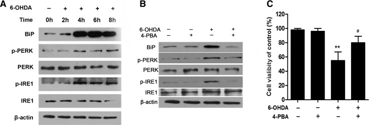 Fig. 2