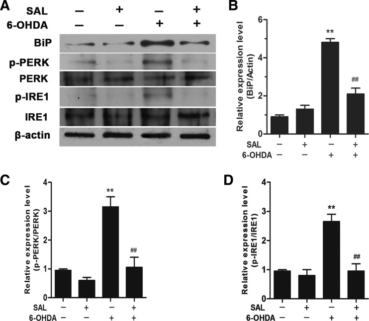 Fig. 3