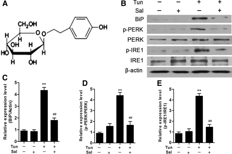 Fig. 1