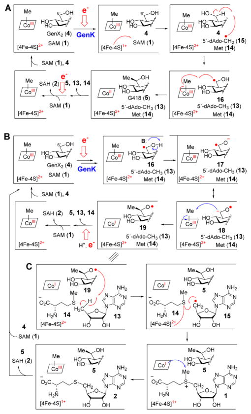 Scheme 2