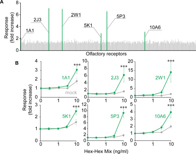 Fig 2