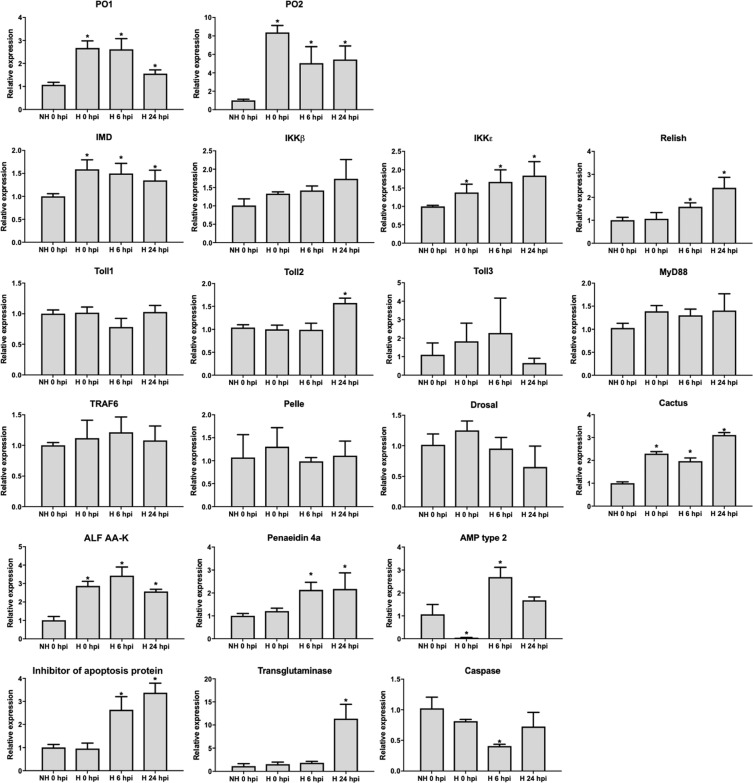 Figure 7