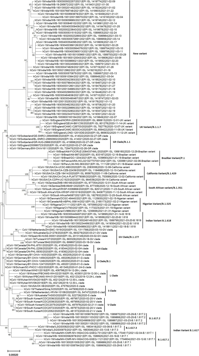 Fig. 1