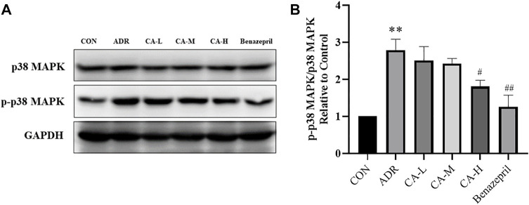 FIGURE 13