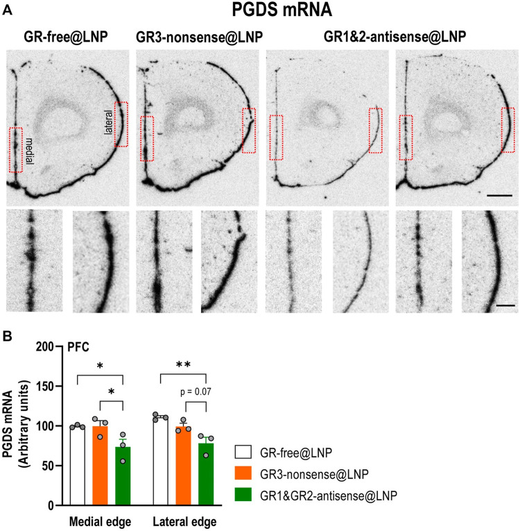 FIGURE 12