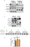 Extended Data Figure 6