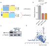 Extended Data Figure 1