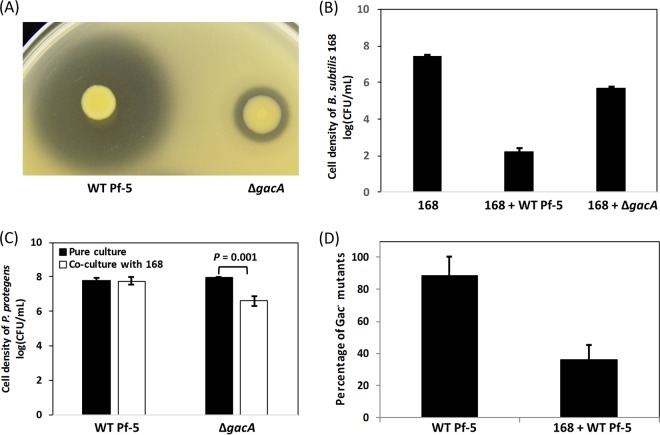 FIG 6 