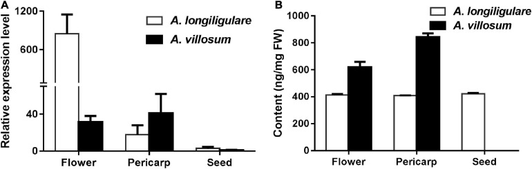 FIGURE 4