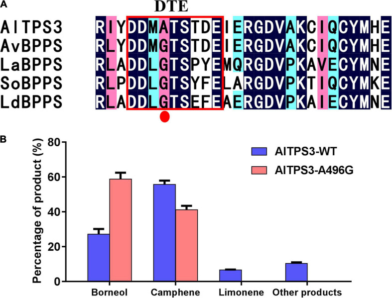 FIGURE 6