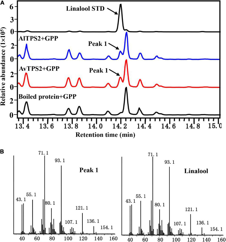 FIGURE 3