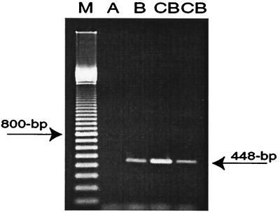 FIG. 6