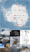 Sampling locations of Antarctic collections