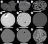 Scanning electron backscatter images of sectioned micrometeorites from the Transantarctic Mountains and Larkman Nunatak collections