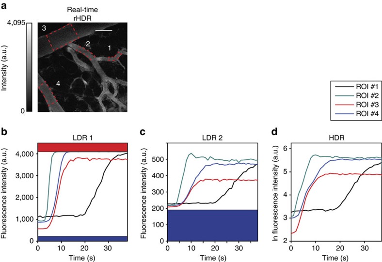 Figure 10