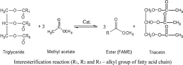 graphic file with name 13205_2021_2911_Figc_HTML.jpg