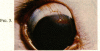 294-1