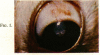 294-1