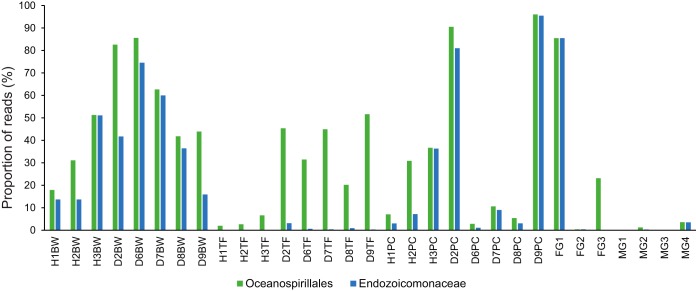 FIG 6