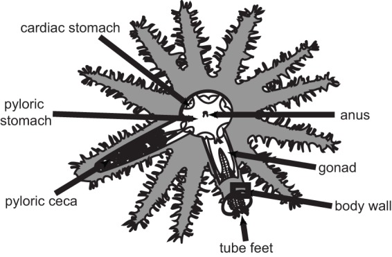 FIG 1