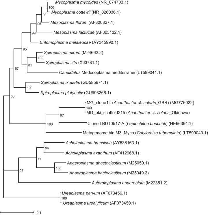 FIG 4