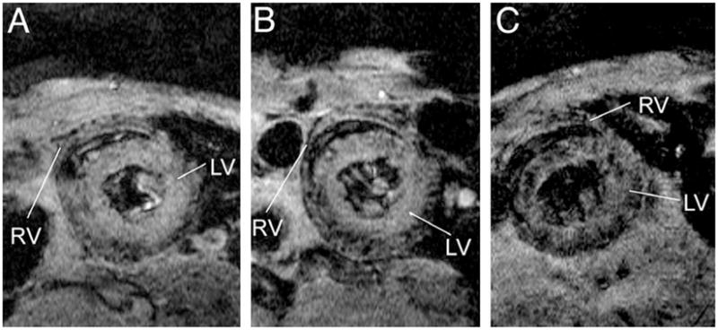 Fig. 5