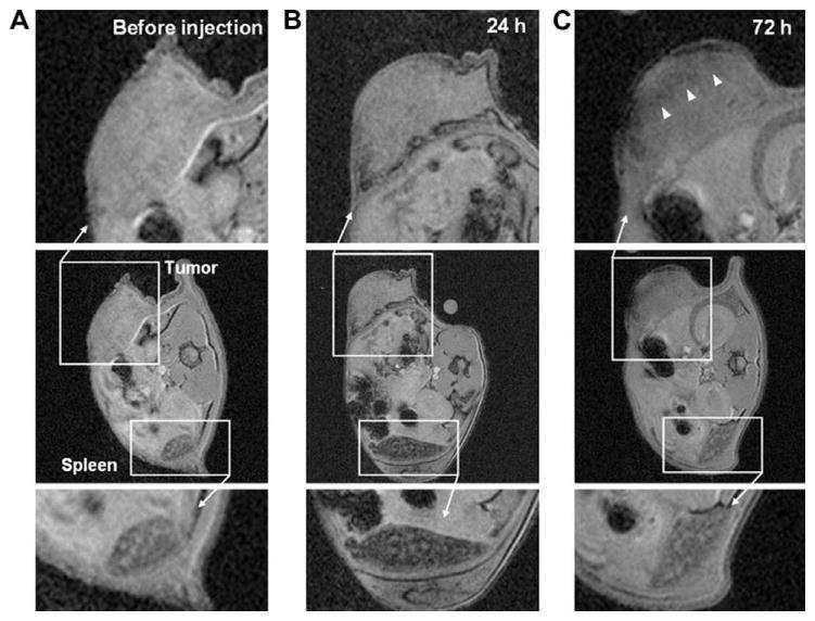 Fig. 9