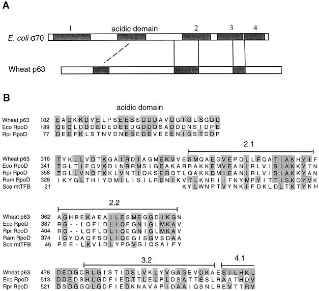 FIG. 7