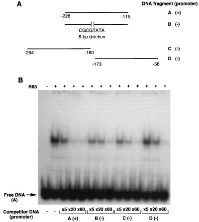 FIG. 8