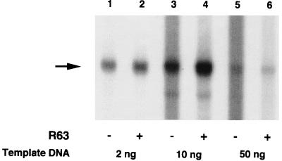 FIG. 9