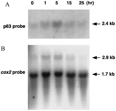 FIG. 10