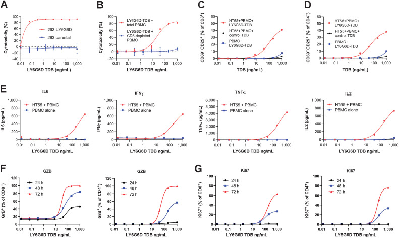 Figure 5. LY6G6D-TDB activity is target dependent. A, Killing of engineered LY6G6D-expressing 293 cells and parental cells. 48-hour time point. B, Killing of HT55 cells when co-cultured with either total PBMCs, or CD3+ T-cell–depleted PBMCs in the presence of 1G4-CD3H. 48-hour time point. C and D, CD8+ and CD4+ T-cell activation in co-culture of HT55 cells and PBMCs in the presence of either 1G4-CD3H, or a control TDB, or culture of PBMCs alone in the presence of 1G4-CD3H. 48-hour time point. E, Cytokine in culture media of co-culture of HT55 cells and PBMCs or culture media of PBMCs alone in the presence of 1G4-CD3H. 24-hour time point. F, Intracellular level of granzyme B in CD8+ T and CD4+ T cells in co-culture of PBMCs and HT55 in the presence of 1G4-CD3H at 24-, 48-, and 72-hour time points, measured by flow cytometry. G, Intracellular level of Ki67 in CD8+ T and CD4+ T cells in co-culture of PBMCs and HT55 in the presence of 1G4-CD3H at 24-, 48-, and 72-hour time points, measured by flow cytometry. Representative data of 2 to 3 donors.