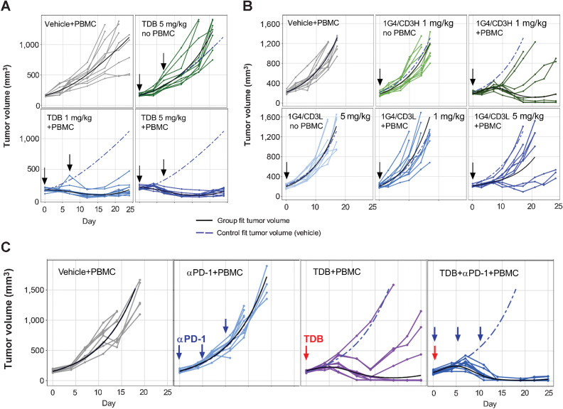 Figure 6. LY6G6D-TDB is efficacious in inhibiting tumor growth in established xenograft tumor models in NSG mice. A, In vivo efficacy of 1G4-CD3H in an established LS1034 xenograft tumor model. After tumor establishment, mice received intravenous injections on days 0 and 7 of the following: (i) vehicle; (ii) 1G4-CD3H at 5 mg/kg; (iii) 1G4-CD3H at 1 mg/kg; (iv) 1G4-CD3H at 5 mg/kg. n = 10 per group B, Comparison of 1G4-TDBs with high- or low-affinity CD3 arm in established HT55 xenograft tumor model. After tumor establishment, mice received intravenous injection of either 1G4-CD3H at 1 mg/kg, or 1G4-CD3 L at 1 mg/kg or 5 mg/kg on day 0. Control animals received either vehicle, or 1G4-CD3 L at 5 mg/kg (without PBMCs), as labeled in the panel. n = 9 per group. C, Combination of 1G4-CD3H and anti–PD-1 antibody in established HT55 xenograft tumor model. After tumor establishment, mice received intravenous injection of the following: (i) vehicle; (ii) anti–PD-1 antibody at 10 mg/kg on days 0, 7, and 14; (iii) 1G4-CD3H at 1 mg/kg on day 0; (iv) co-administration of 1G4-CD3H at 1 mg/kg and anti–PD-1 antibody at 10 mg/kg on day 0, anti–PD-1 antibody on days 7 and 14. Some of the mice were euthanized before the end of the study due to tumor volumes ≥2,000 mm3 or losses in body weight ≥20% from their weight at the start of treatment per IACUC guidelines.