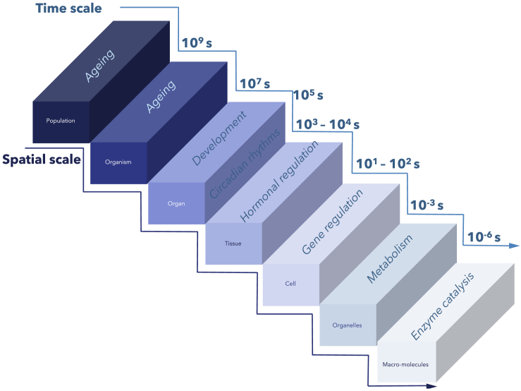 Figure 1