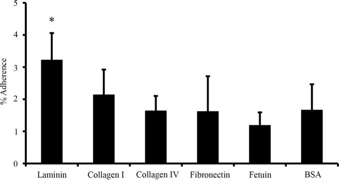 FIG 3