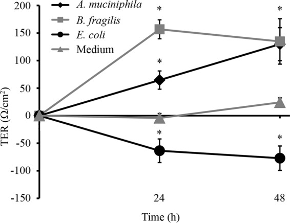 FIG 6