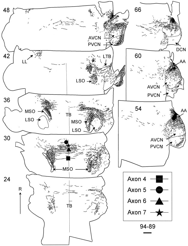 Fig. 3.