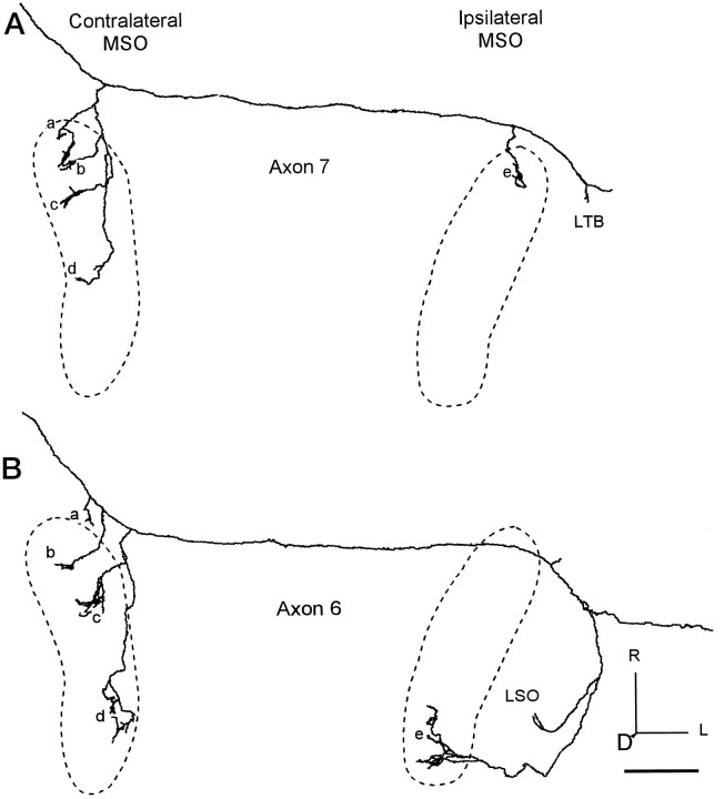 Fig. 5.