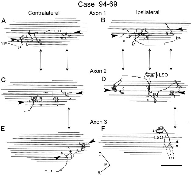 Fig. 9.