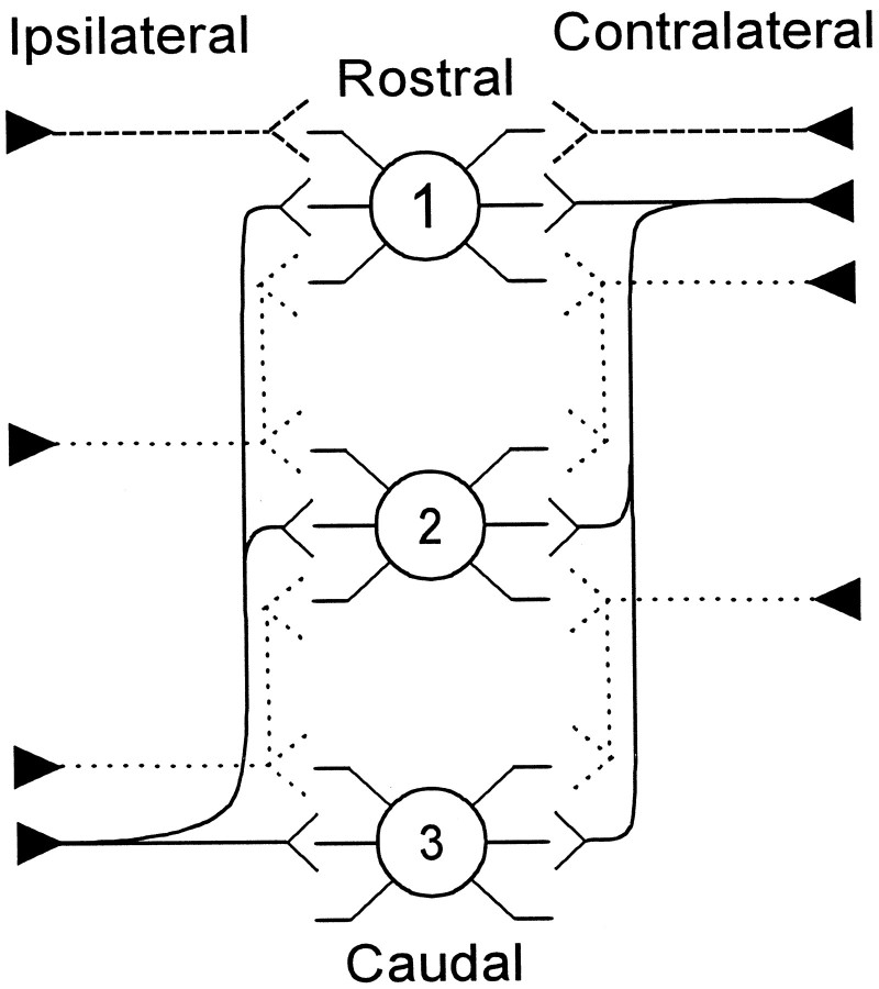 Fig. 12.