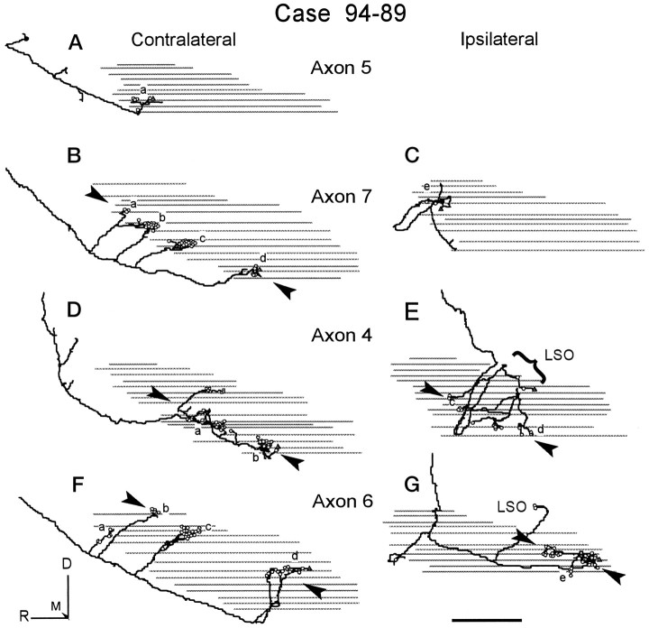 Fig. 10.