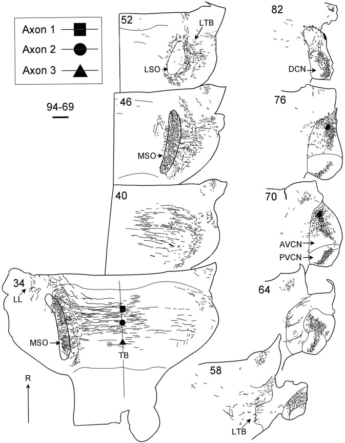 Fig. 2.