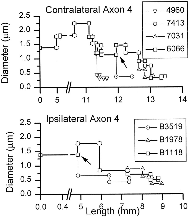 Fig. 8.