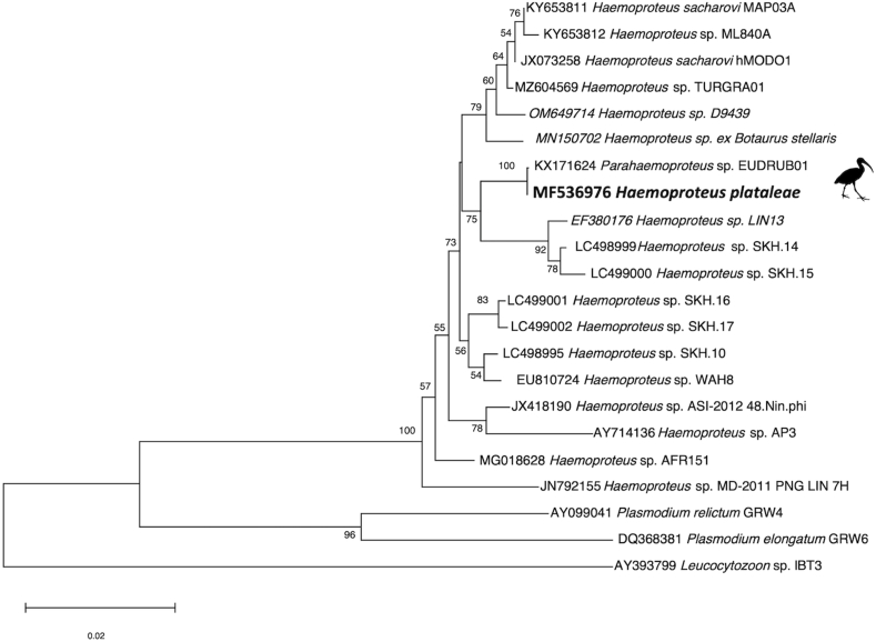 Fig. 3