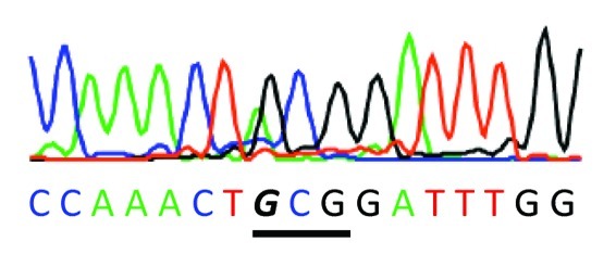 graphic file with name rna-9-1239-g4.jpg