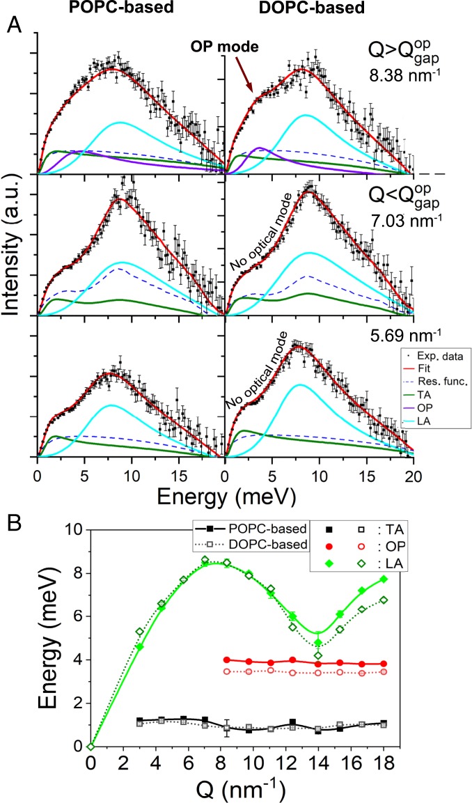 Fig. 6.