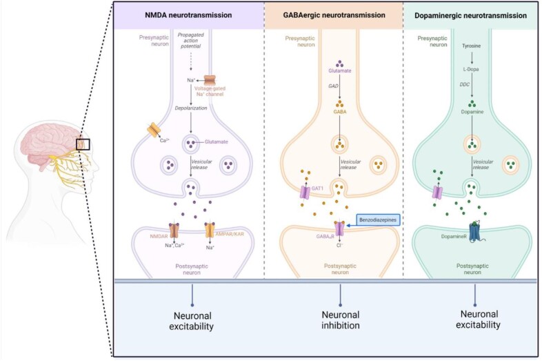 Figure 1: