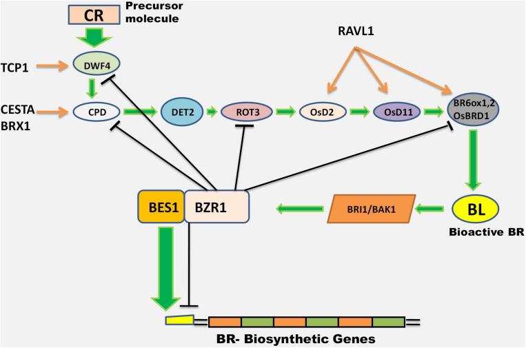 FIGURE 2