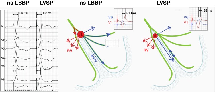 Figure 25